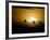 Silhouettes of Sandhill Cranes, Bosque Del Apache National Wildlife Reserve, New Mexico, USA-Arthur Morris-Framed Photographic Print