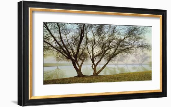 Silhouetts In Fog-Loren Soderberg-Framed Giclee Print