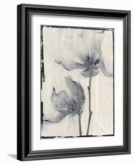 Silk Botanicals I-Liz Jardine-Framed Art Print