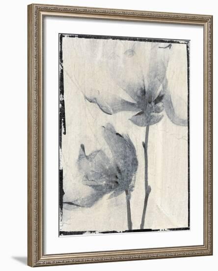 Silk Botanicals I-Liz Jardine-Framed Art Print