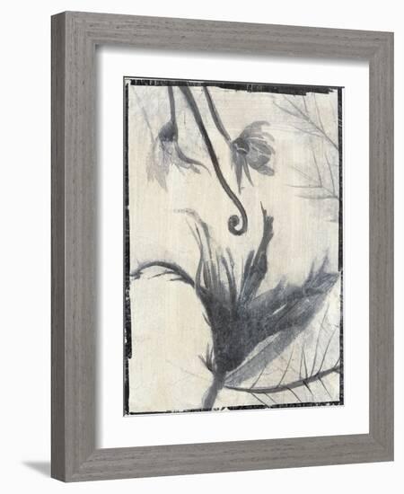 Silk Botanicals II-Liz Jardine-Framed Art Print