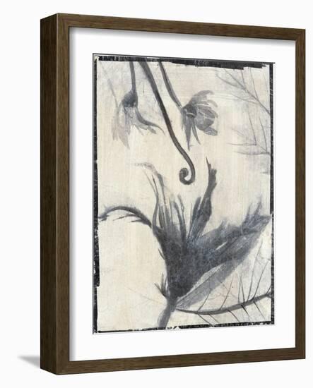 Silk Botanicals II-Liz Jardine-Framed Art Print