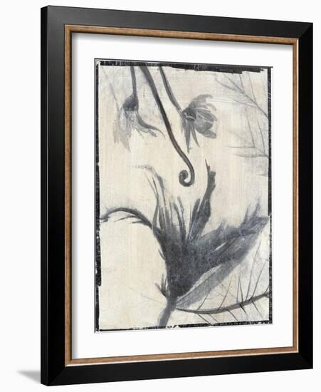 Silk Botanicals II-Liz Jardine-Framed Art Print