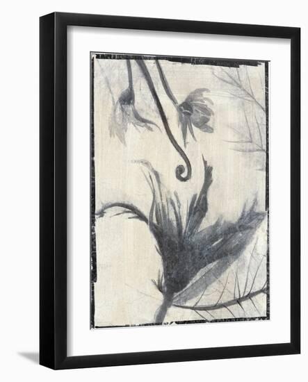 Silk Botanicals II-Liz Jardine-Framed Art Print