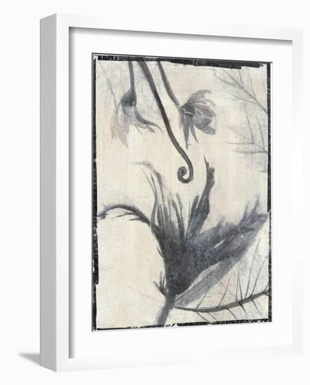 Silk Botanicals II-Liz Jardine-Framed Art Print