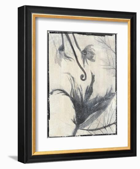 Silk Botanicals II-Liz Jardine-Framed Art Print