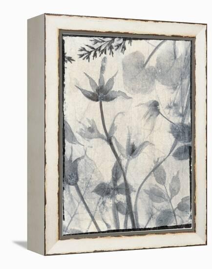 Silk Botanicals III-Liz Jardine-Framed Stretched Canvas