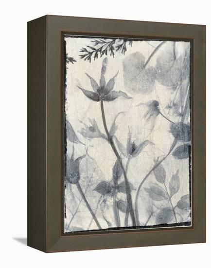 Silk Botanicals III-Liz Jardine-Framed Stretched Canvas
