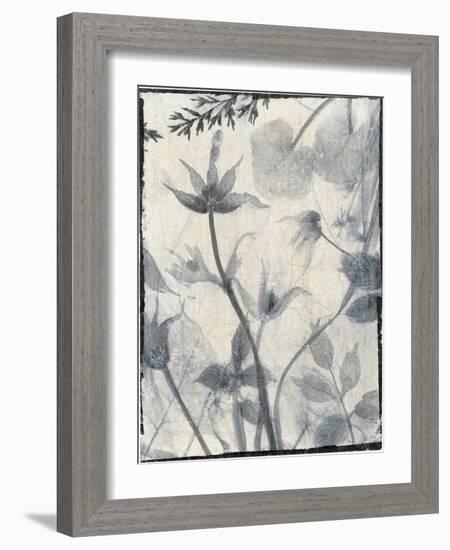 Silk Botanicals III-Liz Jardine-Framed Art Print