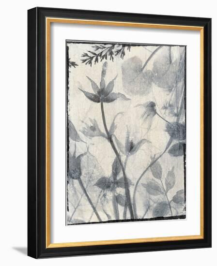 Silk Botanicals III-Liz Jardine-Framed Art Print