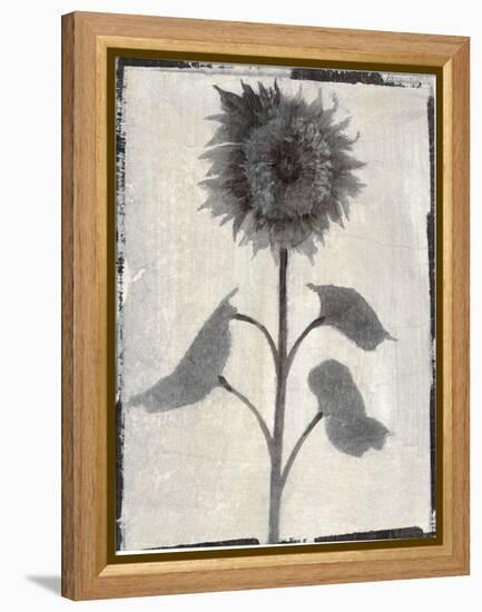 Silk Botanicals V-Liz Jardine-Framed Stretched Canvas