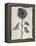 Silk Botanicals V-Liz Jardine-Framed Stretched Canvas