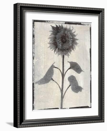 Silk Botanicals V-Liz Jardine-Framed Art Print