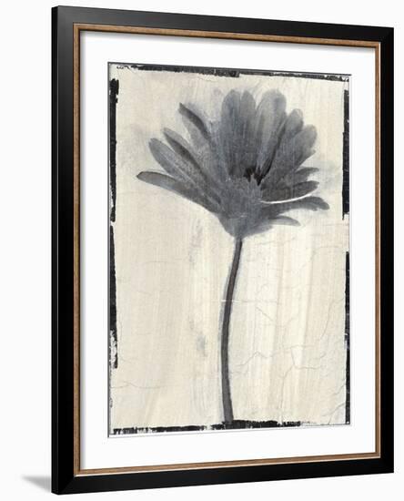 Silk Botanicals VII-Liz Jardine-Framed Art Print