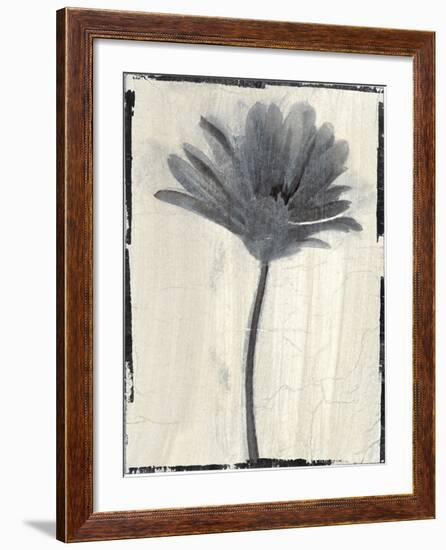 Silk Botanicals VII-Liz Jardine-Framed Art Print