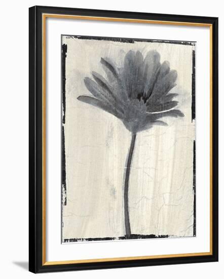 Silk Botanicals VII-Liz Jardine-Framed Art Print