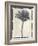 Silk Botanicals VII-Liz Jardine-Framed Art Print