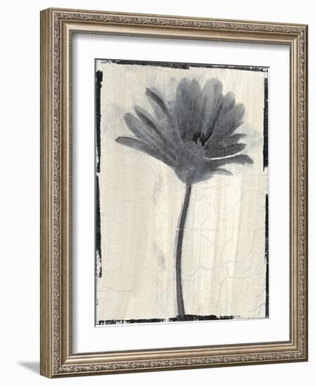 Silk Botanicals VII-Liz Jardine-Framed Art Print