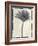 Silk Botanicals VII-Liz Jardine-Framed Art Print