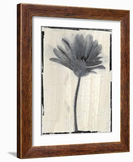 Silk Botanicals VII-Liz Jardine-Framed Art Print