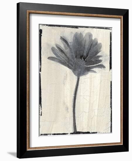 Silk Botanicals VII-Liz Jardine-Framed Art Print