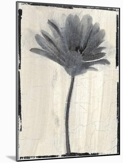 Silk Botanicals VII-Liz Jardine-Mounted Art Print