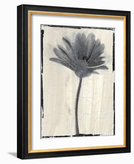 Silk Botanicals VII-Liz Jardine-Framed Art Print