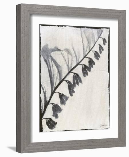 Silk Botanicals X-Liz Jardine-Framed Art Print