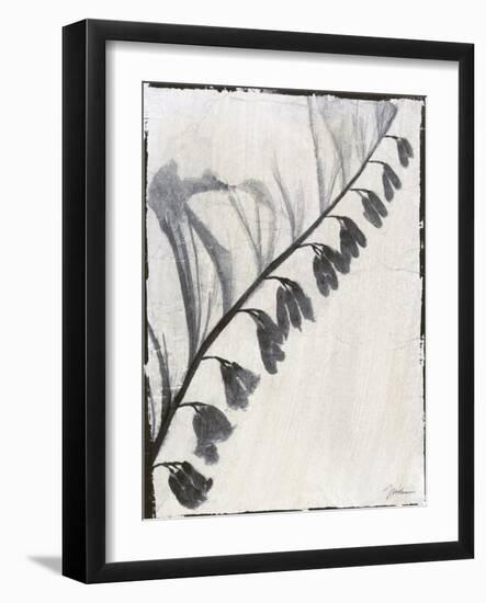 Silk Botanicals X-Liz Jardine-Framed Art Print