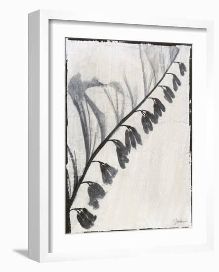 Silk Botanicals X-Liz Jardine-Framed Art Print