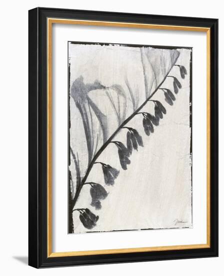 Silk Botanicals X-Liz Jardine-Framed Art Print