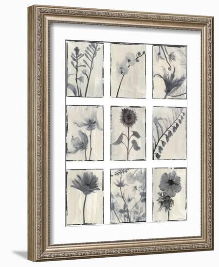 Silk Botanicals-Liz Jardine-Framed Art Print