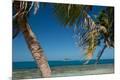 Premium Photographic Print