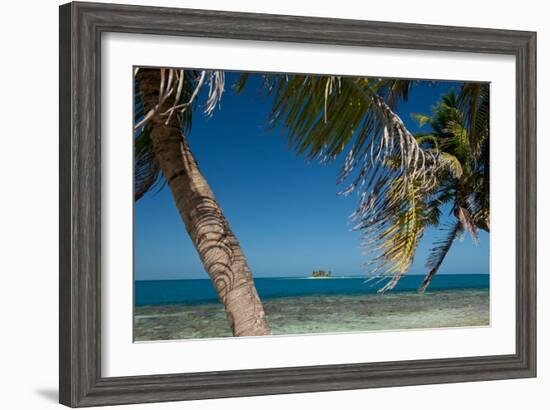 Silk Caye Island with Palm Trees, Caribbean Sea, Stann Creek District, Belize-null-Framed Photographic Print