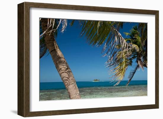 Silk Caye Island with Palm Trees, Caribbean Sea, Stann Creek District, Belize-null-Framed Photographic Print
