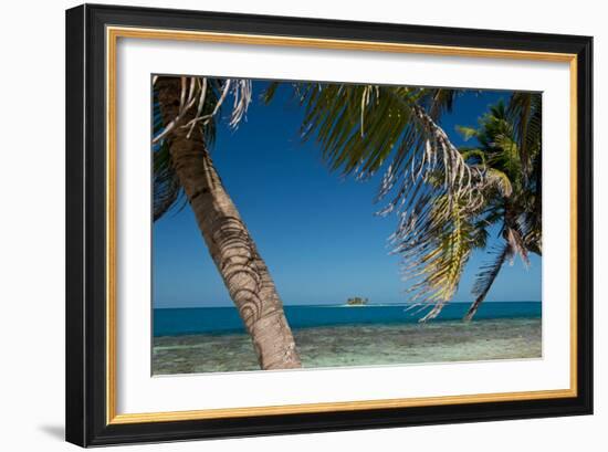 Silk Caye Island with Palm Trees, Caribbean Sea, Stann Creek District, Belize-null-Framed Photographic Print