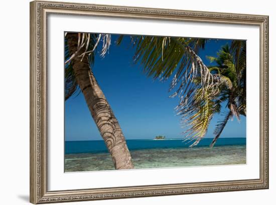 Silk Caye Island with Palm Trees, Caribbean Sea, Stann Creek District, Belize-null-Framed Photographic Print