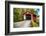 Silk Covered Bridge, Bennington, Vermont-George Oze-Framed Photographic Print