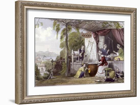 Silk Destroying Chrysalids-Thomas Allom-Framed Art Print