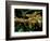 Silk Moth Caterpillars, Ankarana Special Reserve, Madagascar-Pete Oxford-Framed Photographic Print