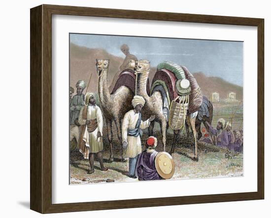 Silk Road, Caravan of Camels Resting, Antioch-Prisma Archivo-Framed Photographic Print