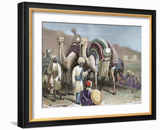 Silk Road, Caravan of Camels Resting, Antioch-Prisma Archivo-Framed Photographic Print