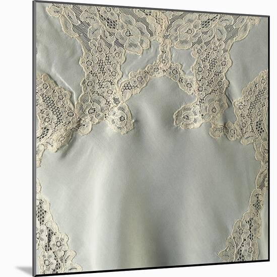 Silk Teddy or Bodysuit with Lace Inserts, Detail-null-Mounted Giclee Print