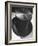 Silk Top Hat Showing Properties of Smooth and Rough Nap Which Are Principles Used in Camouflage-Dmitri Kessel-Framed Photographic Print