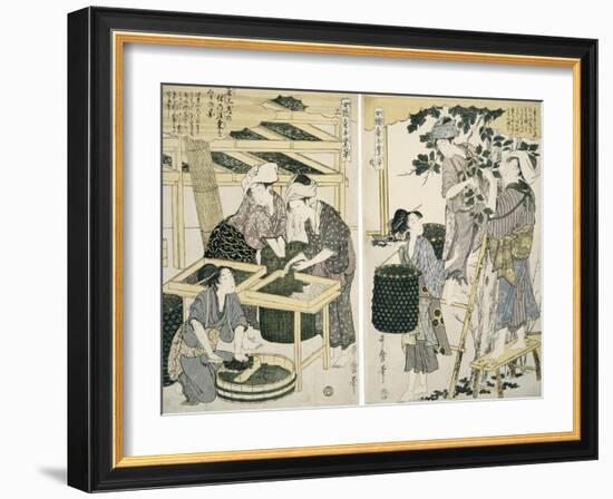 Silk-Worm Culture by Women-Kitagawa Utamaro-Framed Giclee Print