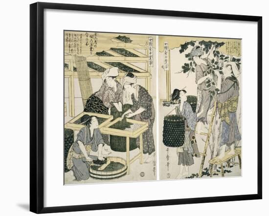 Silk-Worm Culture by Women-Kitagawa Utamaro-Framed Giclee Print