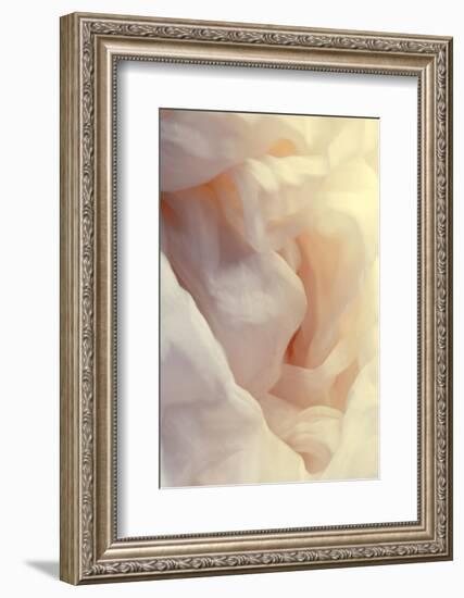 Silky feeling-Heidi Westum-Framed Photographic Print