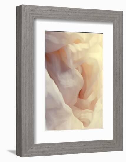 Silky feeling-Heidi Westum-Framed Photographic Print