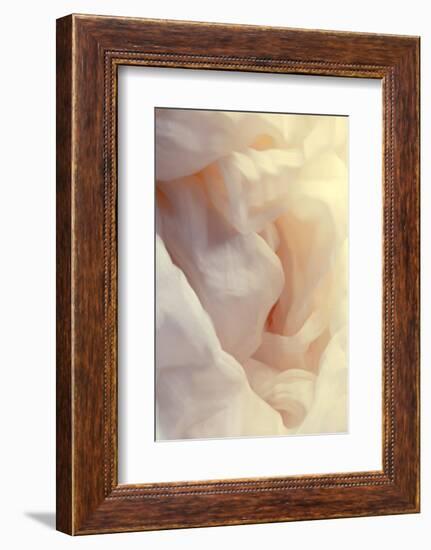 Silky feeling-Heidi Westum-Framed Photographic Print