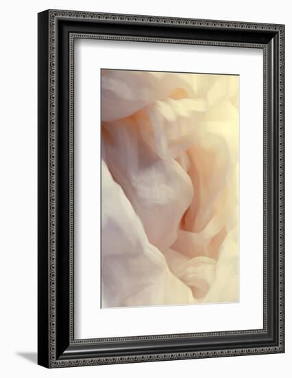 Silky feeling-Heidi Westum-Framed Photographic Print